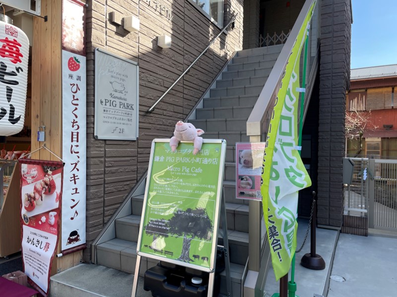 マイクロブタ専門店　鎌倉 PIG PARK小町通店