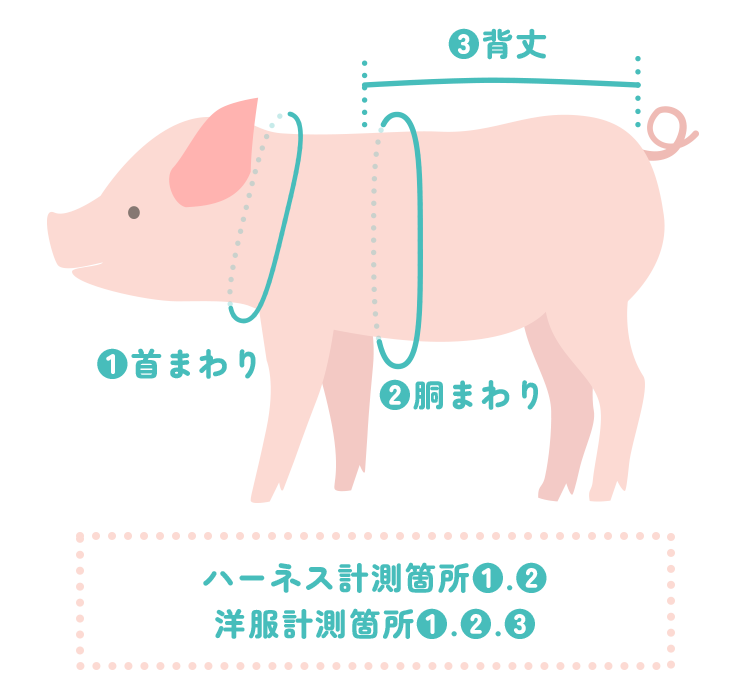 ハーネス・リード採寸表