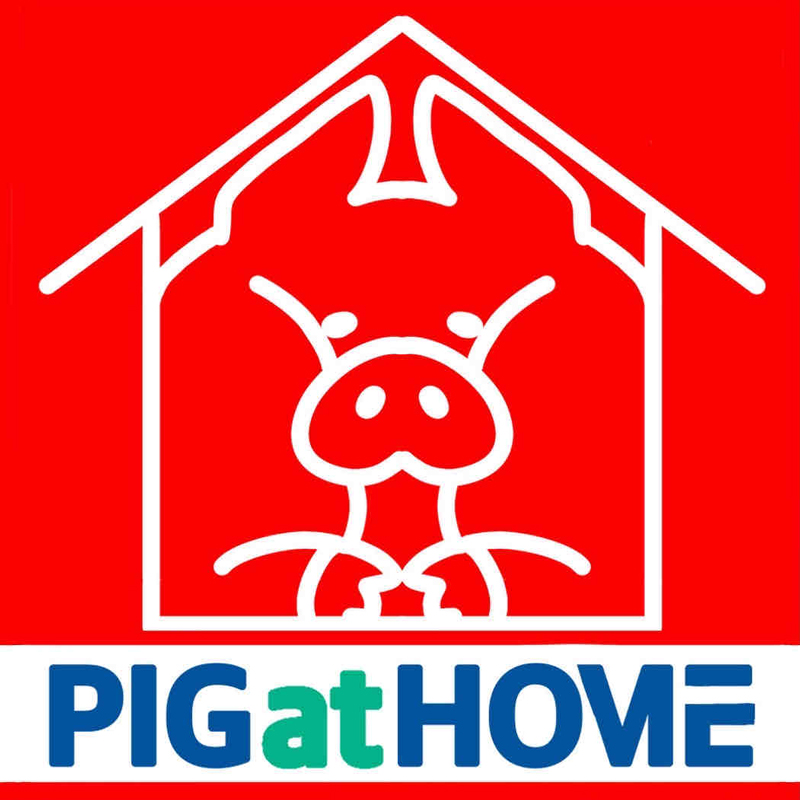 ⑪PIG at HOMEステッカー(某セキュリティ会社風)